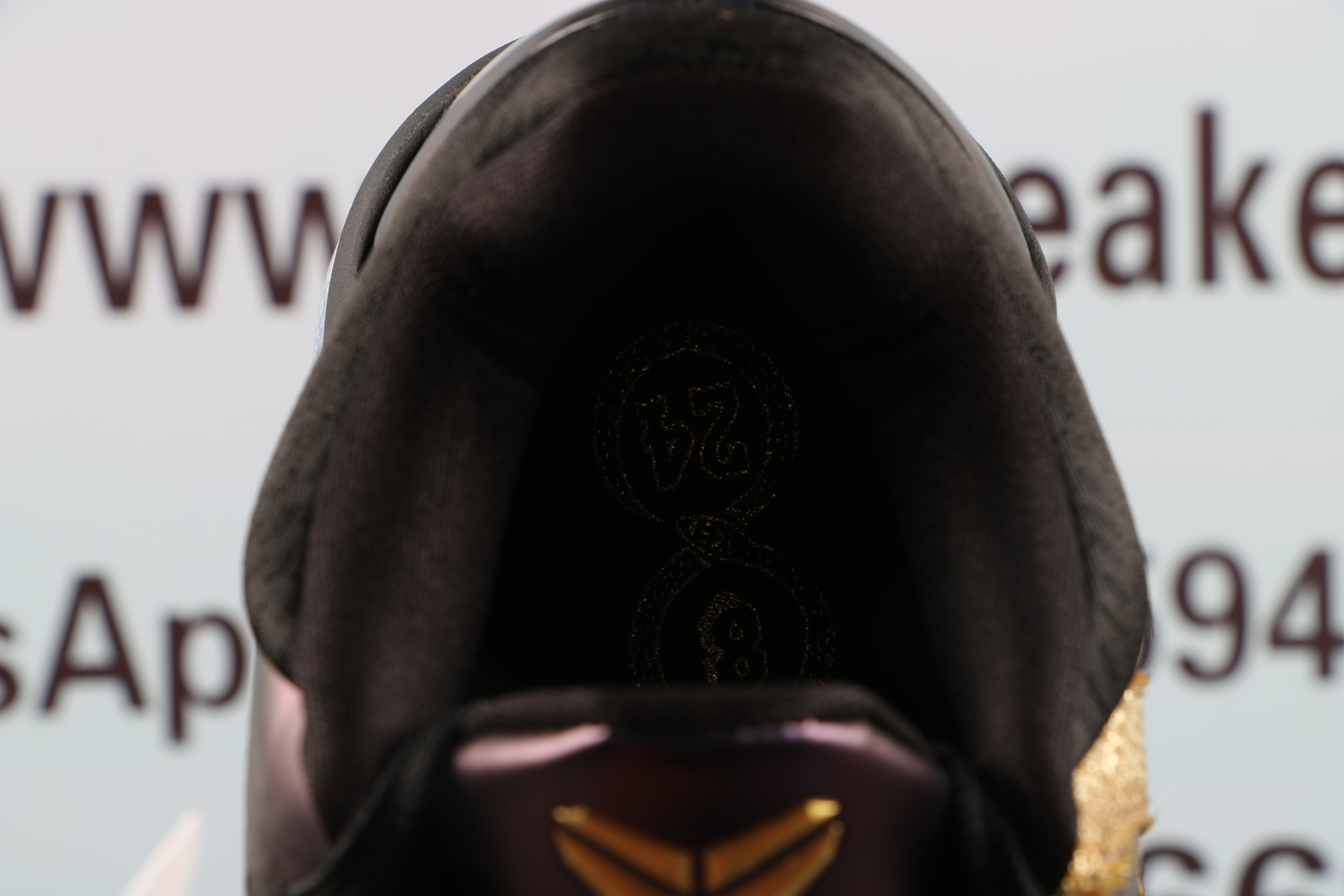 Nike Kobe 5 Protro Year of the Mamba