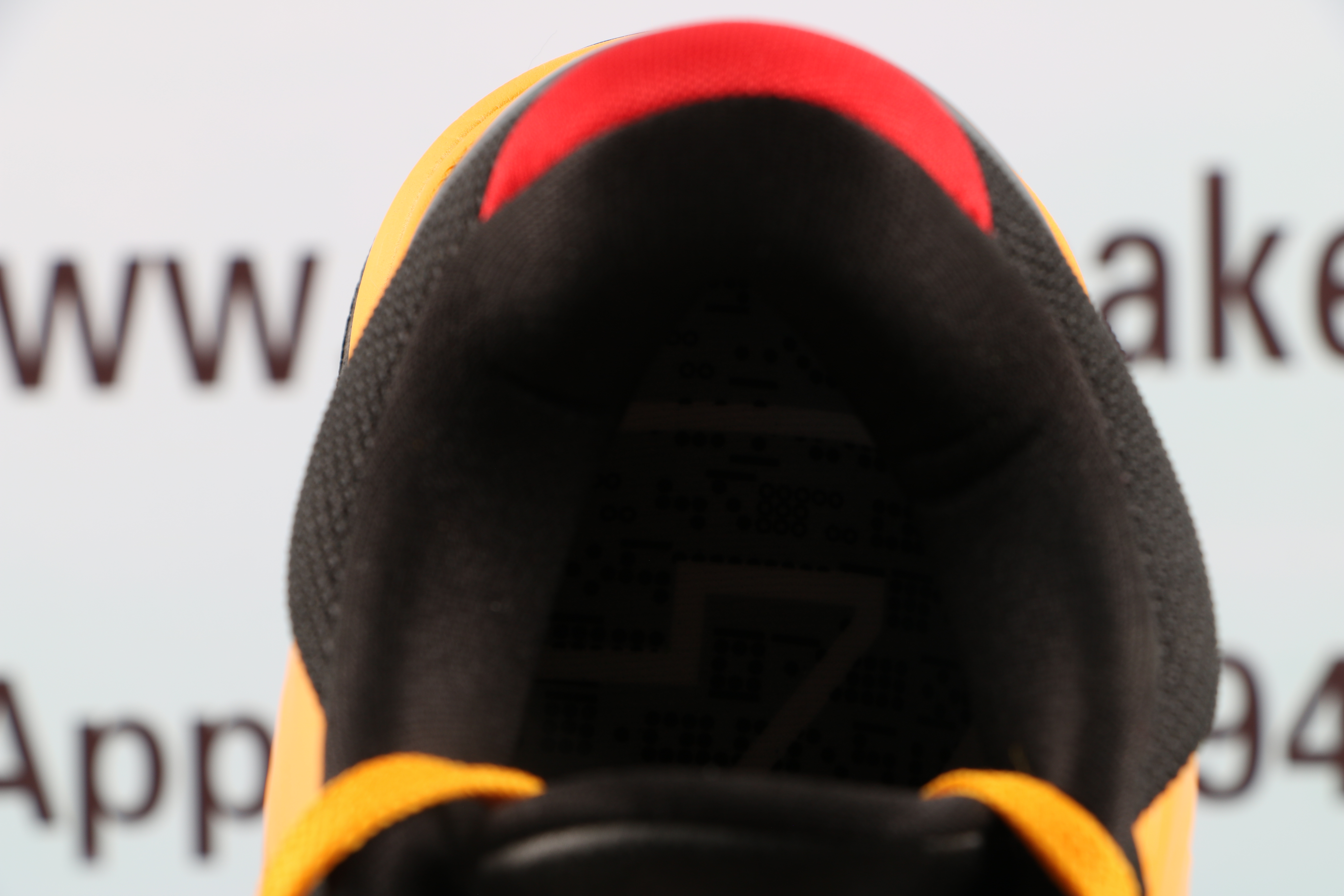 Nike Kobe 5 Protro "Bruce Lee