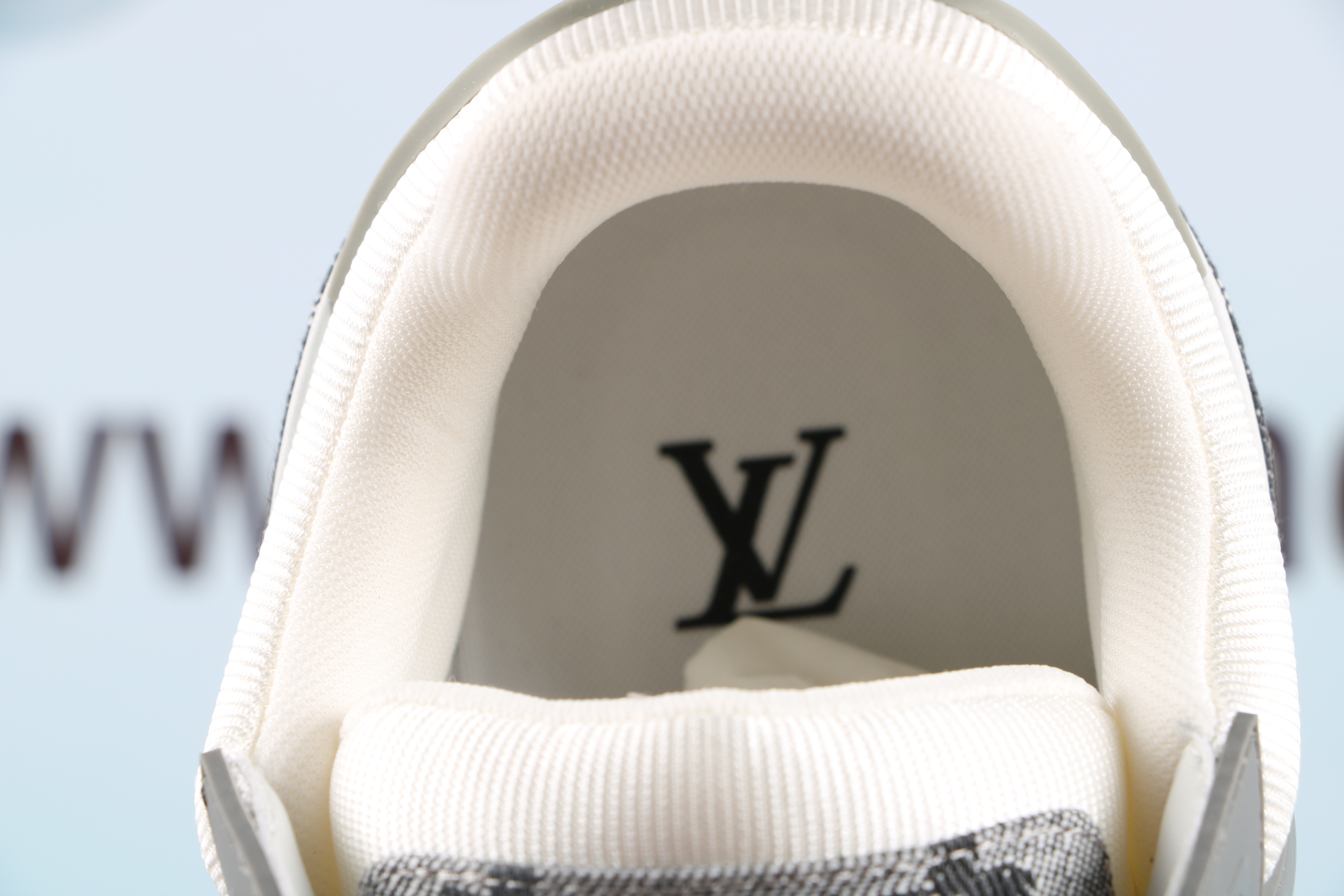 Louis Vuitton LV Trainer