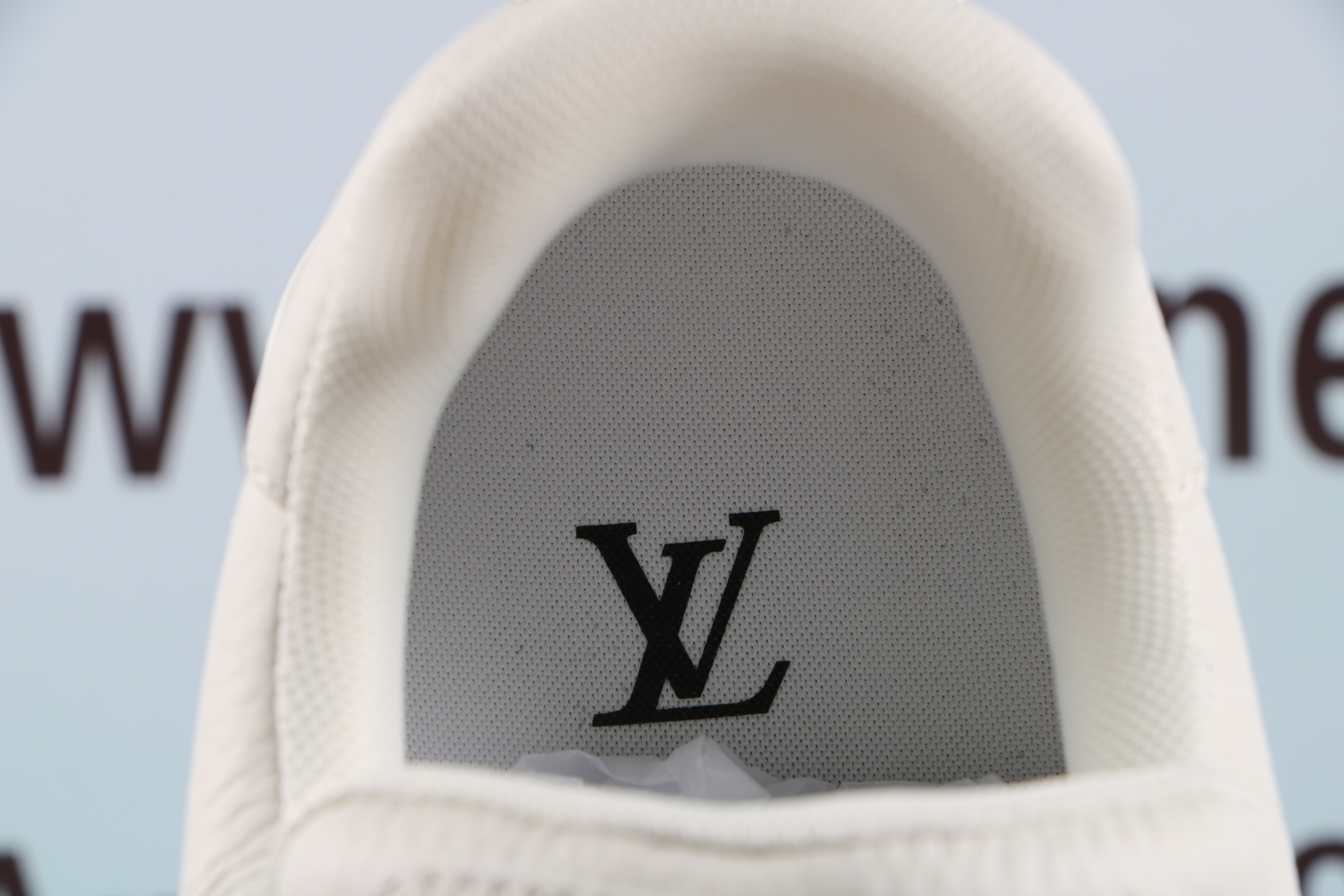 Louis Vuitton LV Trainer