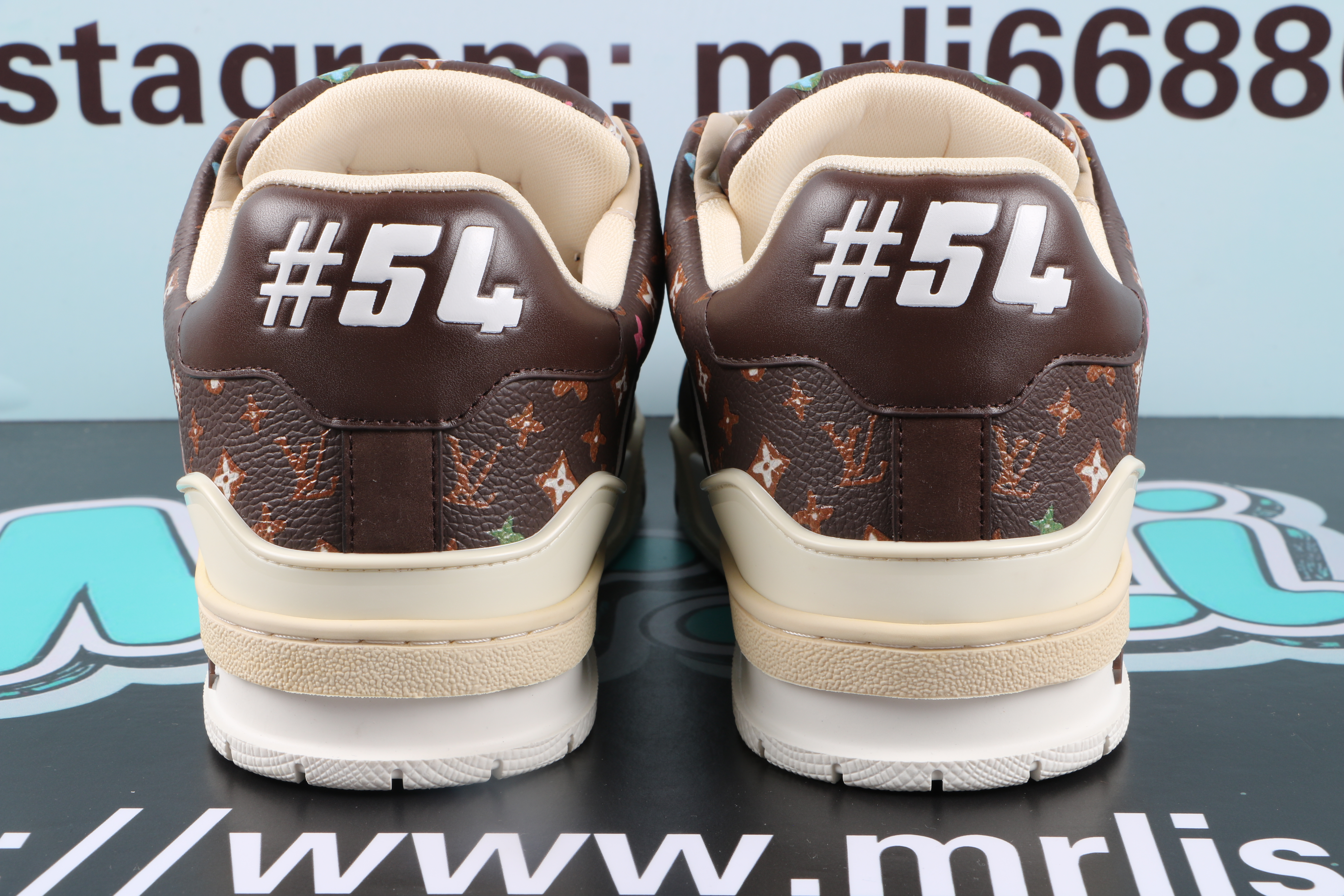 Louis Vuitton by Tyler,the Creator LV Trainer Mocha Multicolor