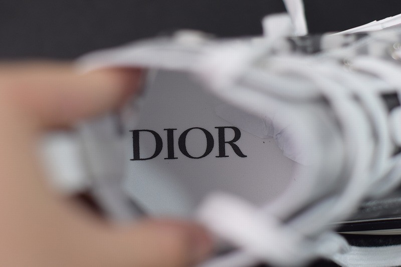 Dior B23 High Top Logo Oblique Dior B23 High Top Logo Oblique
