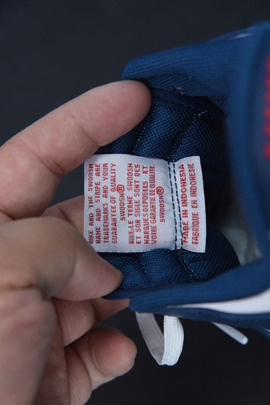 NiKe Dunk Low Valerian Blue NiKe Dunk Low Valerian Blue