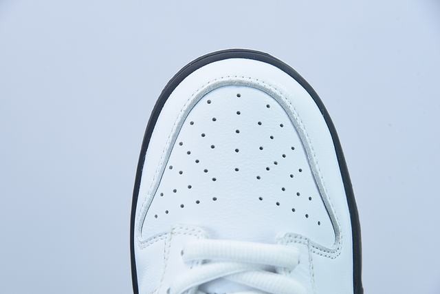 Nk SB Dunk Low Nk SB Dunk Low