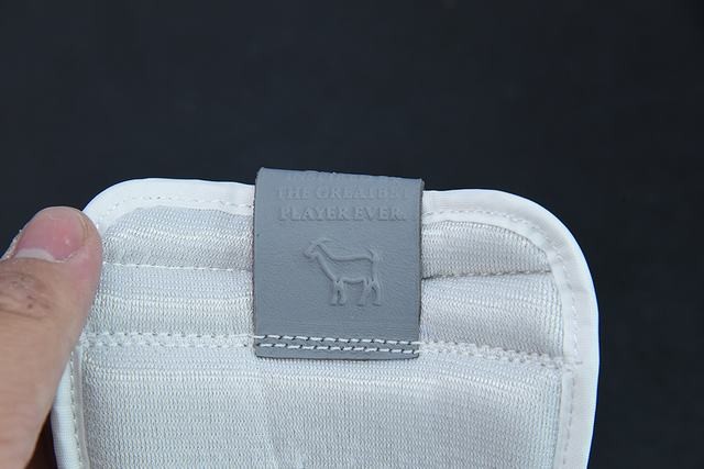 AJ1 AJ1