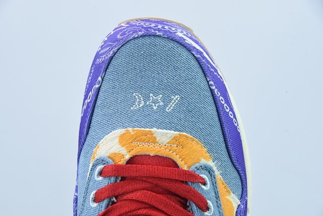 Nike Air Max 1 SP Concepts Far Out (Regular Box) Nike Air Max 1 SP Concepts Far Out (Regular Box)