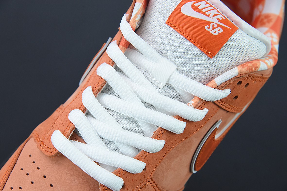 Nk SB Dunk Low Nk SB Dunk Low
