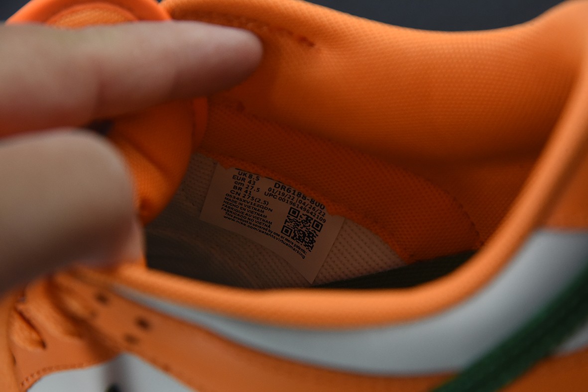 NK SB Dunk low FAMU NK SB Dunk low FAMU