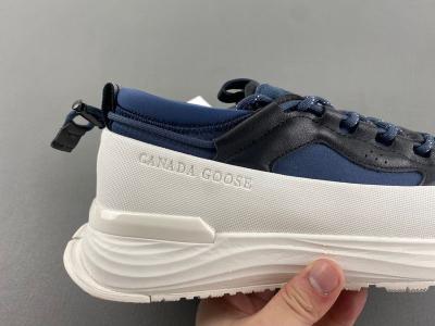(Canada Goose)Glacier Trai. (Canada Goose)Glacier Trai.