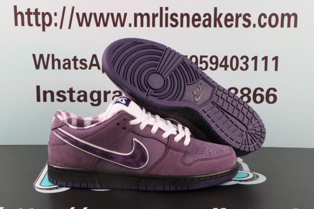 Nike SB Dunk Low Concepts Purple Lobster