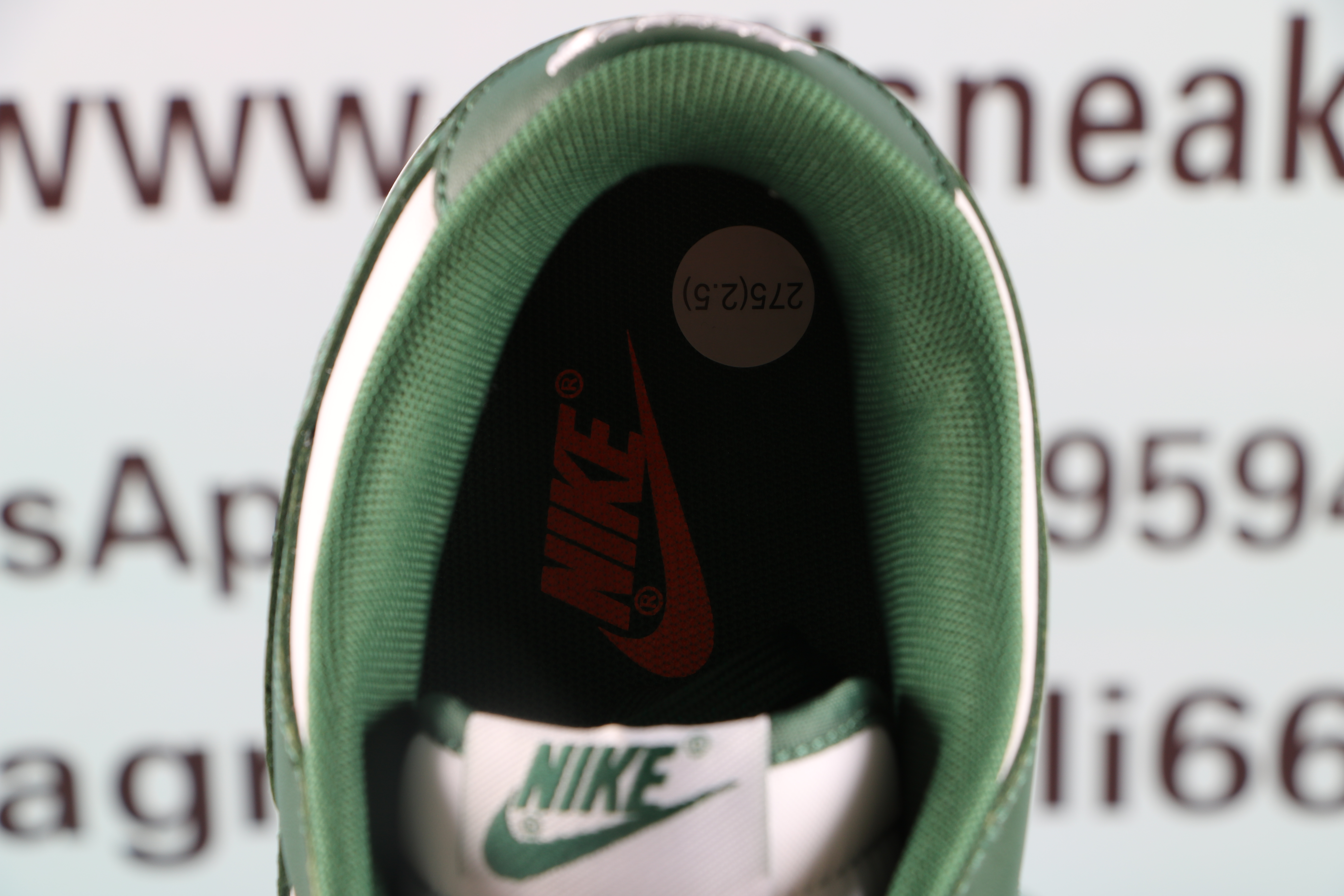 Nike Dunk Low Michigan State