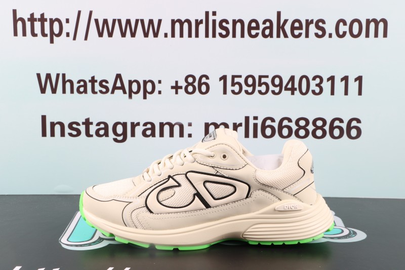 Dior B30 Reflective CD30 Cream Green