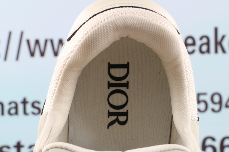 Dior B30 Reflective CD30 Cream Green