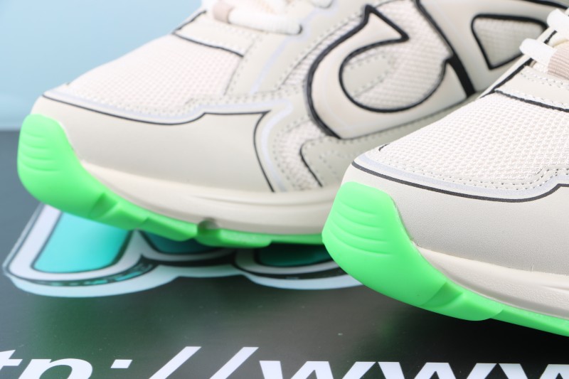 Dior B30 Reflective CD30 Cream Green
