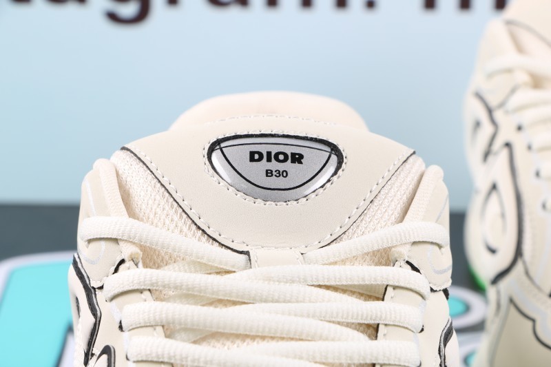 Dior B30 Reflective CD30 Cream Green