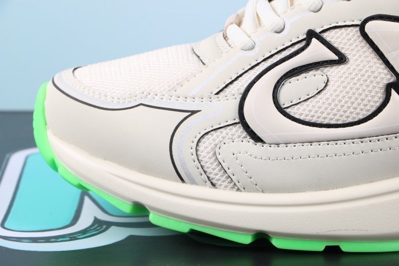 Dior B30 Reflective CD30 Cream Green