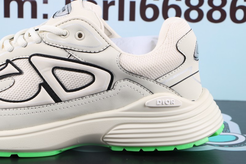 Dior B30 Reflective CD30 Cream Green
