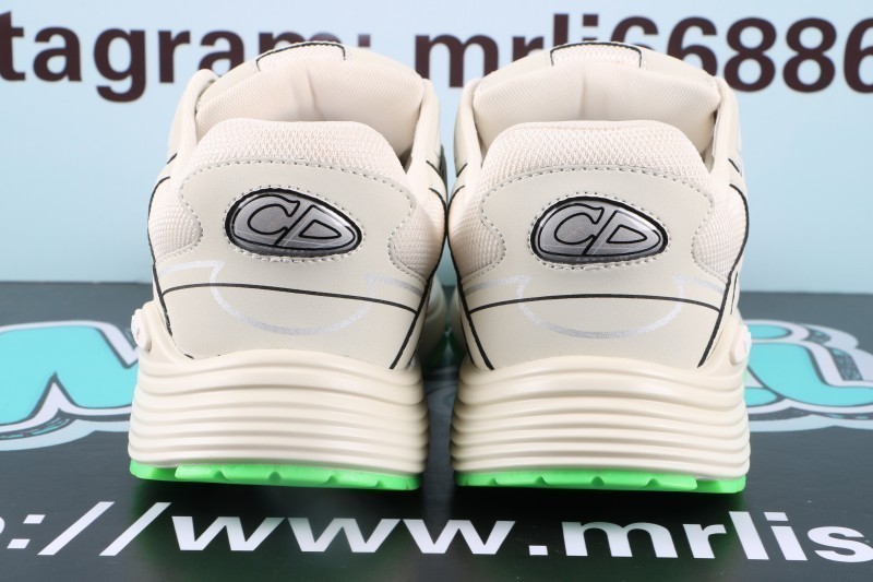 Dior B30 Reflective CD30 Cream Green